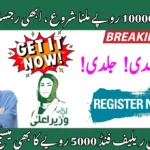 Verify Your Eligibility for Maryam Nawaz Ramzan Package Online (1)