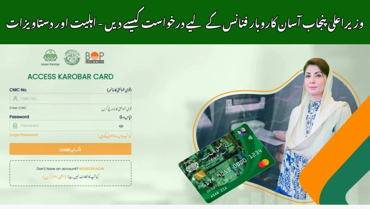وزیراعلیٰ پنجاب آسان کاروبار فنانس کے لیے درخواست کیسے دیں - اہلیت اور دستاویزات