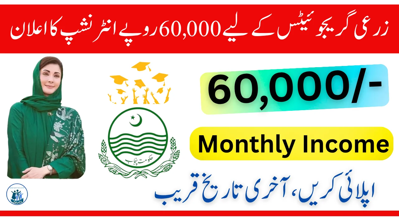 CM Punjab Internship Program