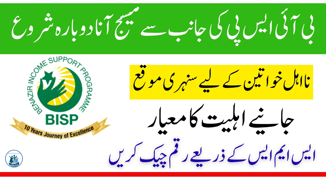 بینظیر انکم سپورٹ پروگرام 8171