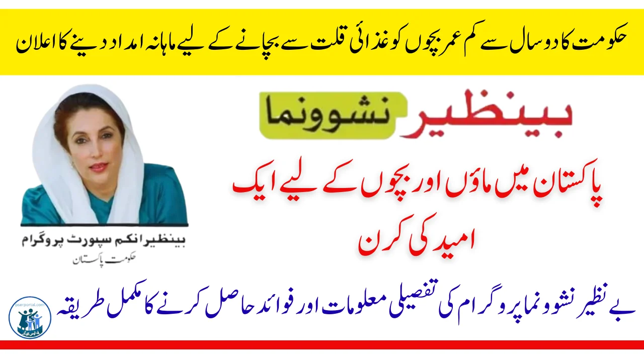 بے نظیر ناشونوما پروگرام