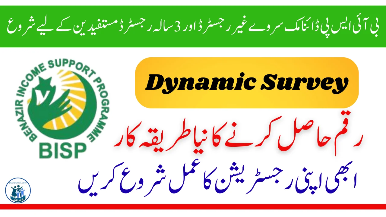 بی آئی ایس پی ڈائنامک سروے